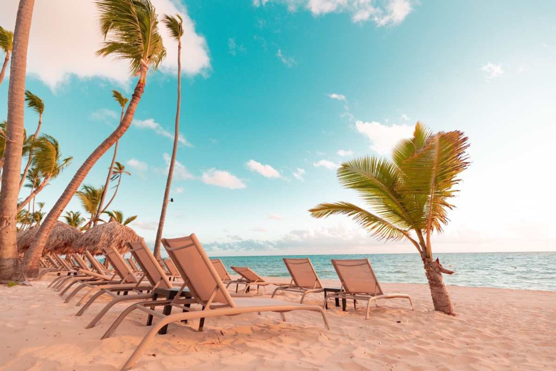 Punta Cana - TRS Turquesa